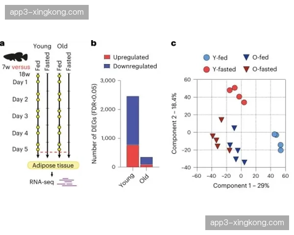 赛事周边生产环节正从批量制造向柔性快速响应模式跃迁